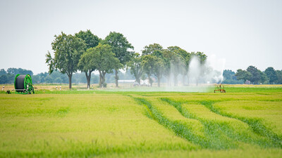 Feldtag zum Thema Landwirtschaft und Wasserschutz am 17.06.2026 in Schw&uuml;blingsen (Uetze/Region Hannover).