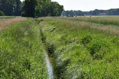 Gew&auml;sserrandstreifen Gew&auml;sser 2. Ordnung