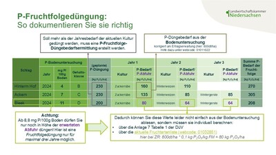 Dokumentation einer P-Fruchfolged&uuml;ngung
