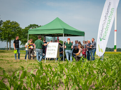 Feldtag zum Thema Landwirtschaft und Wasserschutz am 17.06.2026 in Schw&uuml;blingsen (Uetze/Region Hannover).