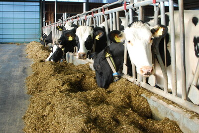 Am Futtertisch des LBZ