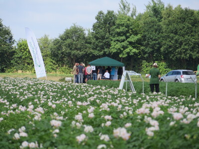 Landwirtschaft und Wasserschutz - Feldtag in Hamerstorf