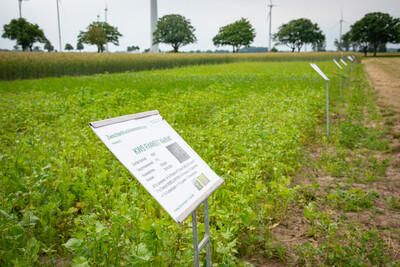Feldtag zum Thema Landwirtschaft und Wasserschutz am 17.06.2026 in Schw&uuml;blingsen (Uetze/Region Hannover).
