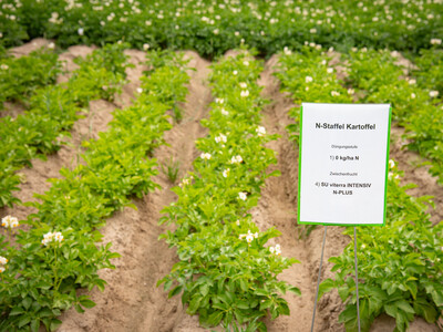 Feldtag zum Thema Landwirtschaft und Wasserschutz am 17.06.2026 in Schw&uuml;blingsen (Uetze/Region Hannover).