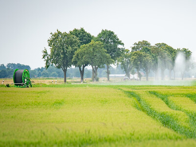 Feldtag zum Thema Landwirtschaft und Wasserschutz am 17.06.2026 in Schw&uuml;blingsen (Uetze/Region Hannover).