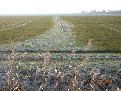 Frost: Der Boden muss am Tag des Aufbringens völlig frostfrei sein. Wenn der Boden in beliebiger Tiefe Frost aufweist ist einen Düngung nicht erlaubt!
