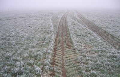 Frost: Der Boden muss am Tag des Aufbringens v&ouml;llig frostfrei sein. Wenn der Boden in beliebiger Tiefe Frost aufweist ist einen D&uuml;ngung nicht erlaubt!